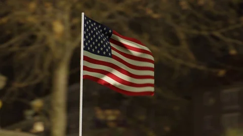 US Flag at Night Stock Footage