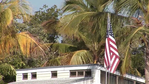 US flag with palm trees Video stock 93226099