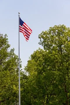 US Flag on Pole with Trees Stock Photos