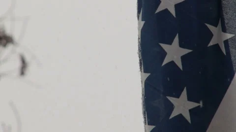 US Flag Tilt Down while snowing Video stock 34479991