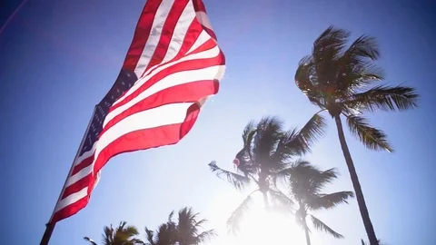 U.S. Flag in wind Stock Footage