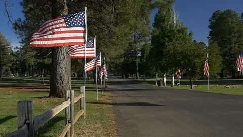 US Flags line a driveway into a cemetery for Memorial Day Stock Footage 90621862
