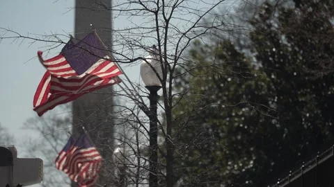 US flags on a post outside the presidents White House in Washington, DC with Stock Footage 306329973