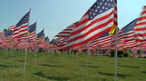 US flags in rows 3 Stock Footage 11878380