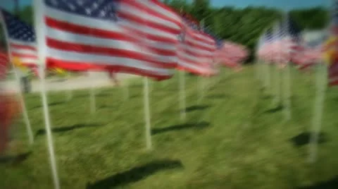US flags in rows 4 Stock Footage 11878295