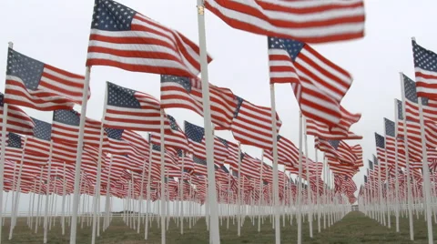 US Flags Waving At Fallen Soldiers Memorial Stock Footage 68060221