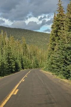 US Forest Road Stock Photos