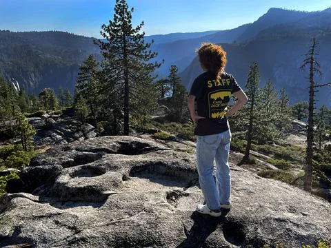 US Forests Stock Photos