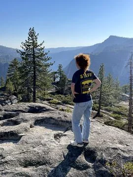 US Forests Stock Photos