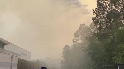 US: Gainesville Brush Fire Burn Across City As Crews Battle To Contain Ac... Stock Footage 333289198