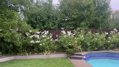 US: Gentle rain drizzles, creating a calm and tranquil scene in El Segund... Stock Footage 320846134