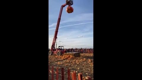 US: Giant pumpkin explodes at Cherry Crest Farm in Pennsylvania, USA Vídeos de archivo 321277297