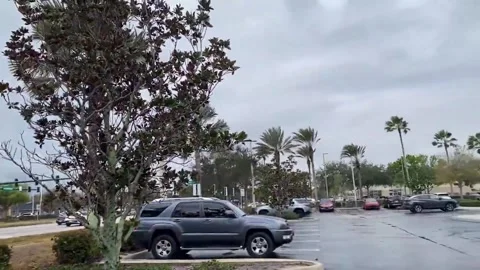 US: Gusty winds and dark clouds as cold front passes in Port St. Lucie, F... Stock Footage 328405645