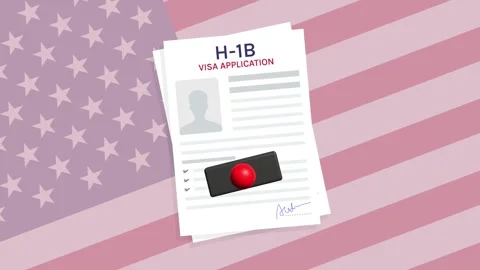 US h1b visa application approved animation video Stock Footage 314697732