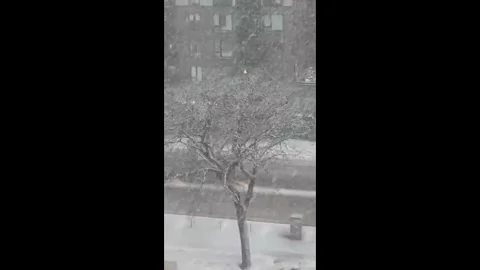 US: Heavy snowfall during bomb cyclone in downtown Minneapolis, Minnesota... Stock Footage 325290119