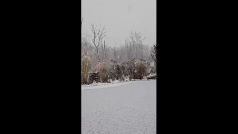 US: Heavy snowfall transforms rural landscape during winter storm in Hamp... Video stock 323420980