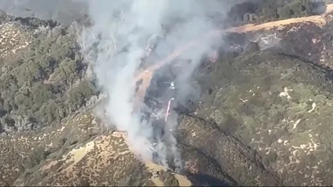 US: Helitorch Flames Race Across California Forest As Plaskett Fire Burns... Stock Footage 345013507