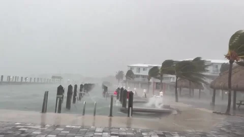 US: Hurricane Helene Brings Strong Winds, Heavy Rain To Florida Stock Footage 285704478