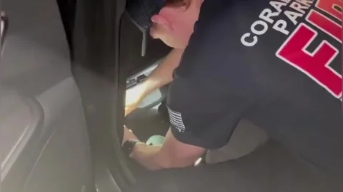 US: Large Python Pulled Out Of Car Dashboard By Florida Firefighters Stockbeeldmateriaal 330509402