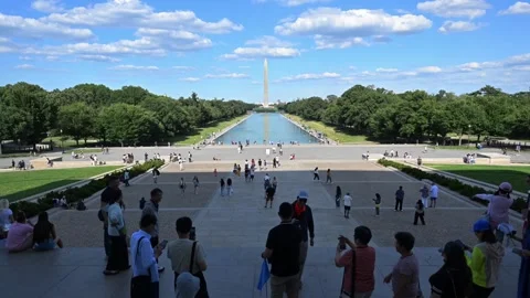 US: Lincoln Memorial Reflecting Pool undergoes algae cleanup Stock Footage 337081838