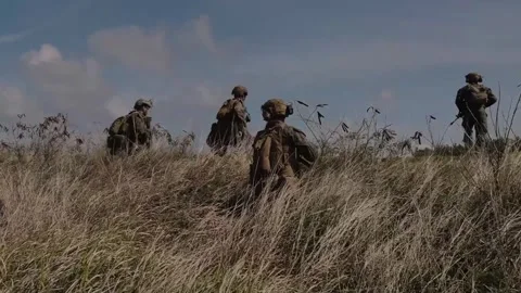 U.S. Marines advancing through cover of long grass during helicopter raid Stock Footage 265231336