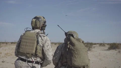 US Marines keep lookout during Close air support exercise in desert Stock-Footage 161881045