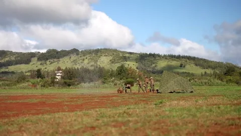 U.S. Marines load and fire M252A2 81mm mortar system Stock Footage 261018533