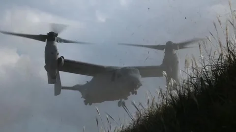 U.S. Marines MV-22 Osprey tiltrotor aircraft kicking up vegetation on landing Vídeo Stock 255283871