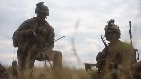 U.S. Marines on patrol in field in Support of Exercise Blue Chromite Stock Footage 81735894