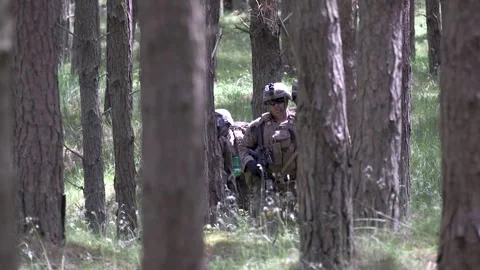 U.S. Marines trekking through forest during amphibious assault BALTOPS exercise Stock Footage 278147952