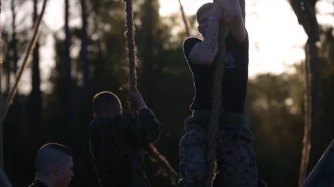 U.S. Marines undergo basic training including climbing ropes. Stock Footage 84329344