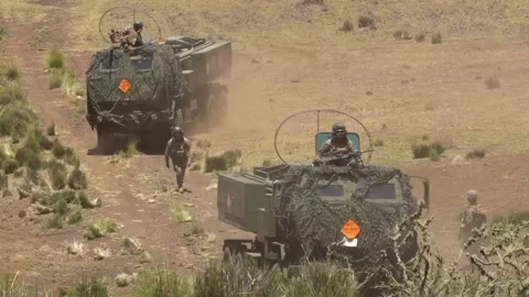 U.S. Marines walking with High Mobility Artillery Rocket Systems (HIMARS) Vidéo 201928282