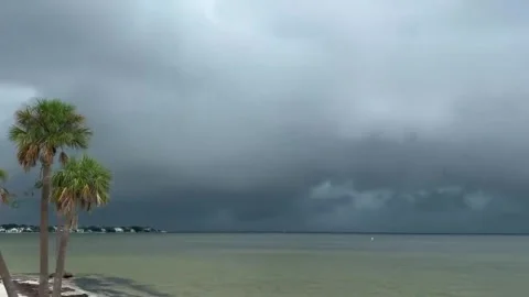 US: Massive Shelf Cloud Sweeps Across Florida Coast Ahead Of Thunderstorm... Stock Footage 341076112