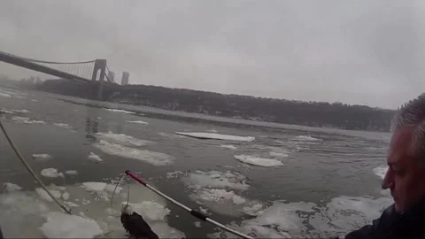 US: NYPD Pulls Struggling Bald Eagle From Hudson River Ice Stock Footage 329190506