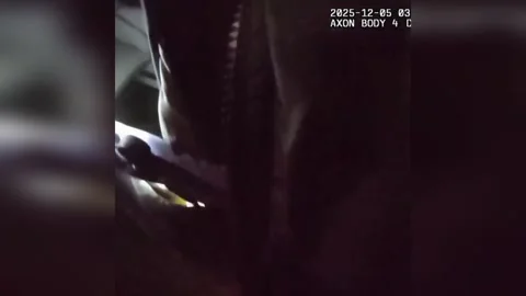 US: Officers Find Missing 4 Year Old Hiding In Stroller In 15 Degree Cold... Stock Footage 323148752