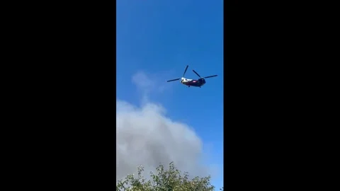 US: Palos Fire burns through La Habra Heights in Los Angeles, USA Stock Footage 345855792