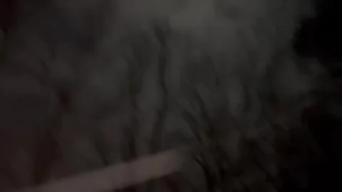 US: Powerful noreaster brings six inches of snow to North Carolina, USA Vídeo Stock 328093493