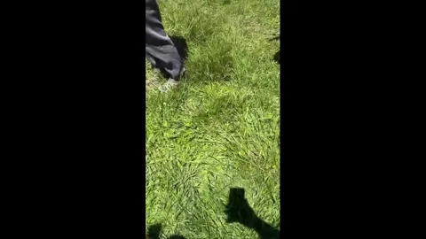 US: Quad bike flips and rider collides with spectator in Buckhannon, West... Stock Footage 329376820