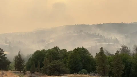 US: Rowe Creek Complex Fire Explodes Across More Than 126000 Acres In Ore... 動画素材 340177080