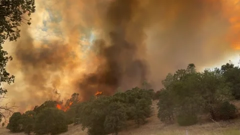 US: Rumsey Fire Explodes Across California Hills As Air Attack Battles Ma... 스톡 동영상 340249045