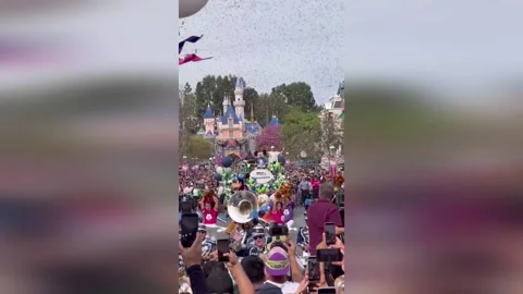 US: Seattle Seahawks Lead Massive Disneyland Parade After Super Bowl Triu... Stock Footage 328617299