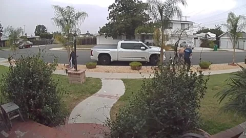 US: Security camera captures chaotic dog attack outside home in Tustin, C... Stock Footage 335275891