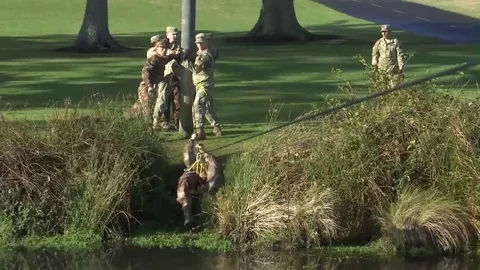 U.S. Soldier using hands to cross river on Rope Bridge Stock Footage 82653429