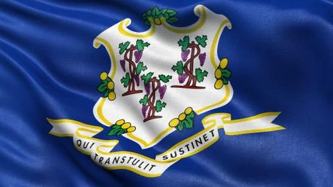 US state flag of Connecticut Stock Illustration