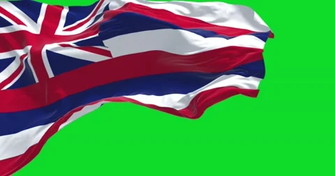 The US state flag of Hawaii waving in the wind on a clear day Stock Footage 201790886