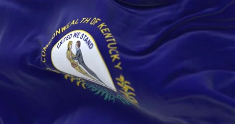 The US state flag of Kentucky waving in the wind Stock-Footage 224543098