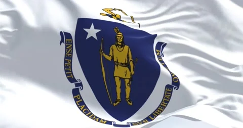The US state flag of Massachusetts waving in the wind Stock-Footage 202038141
