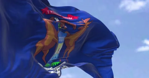 The US state flag of Michigan waving in the wind Stock-Footage 176855723