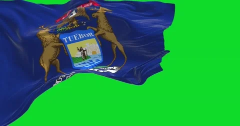 The US state flag of Michigan waving in the wind Stock Footage 202038348