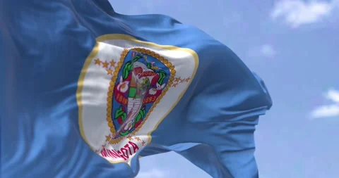 The US state flag of Minnesota waving in the wind Stock-Footage 176855798